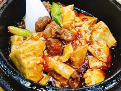 石锅牛腩煨豆腐-阿西娅食府(中关村店)