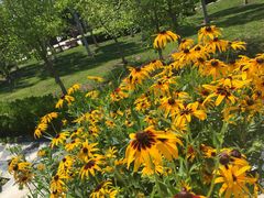 -武清南湖绿博园