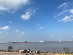 -上海滨江森林公园