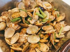 辣炒小蛤蜊-开海·红岛海鲜虾水饺(石老人店)
