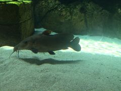 河川生态园-河川生态园