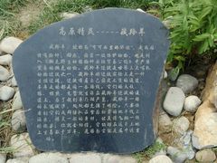 -武清南湖绿博园