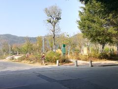 -草庵摩尼教遗址公园