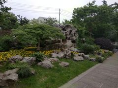 -荆川公园