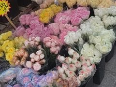 -循礼门鲜花花市(武汉循礼门店)