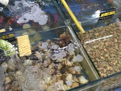 -明记海鲜大排档(巽寮湾店)