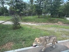 -秦皇岛野生动物园