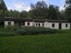 -溱湖国家湿地公园