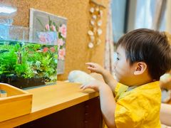 -硅谷蒙学幼儿园