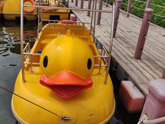 -西安汉城湖景区