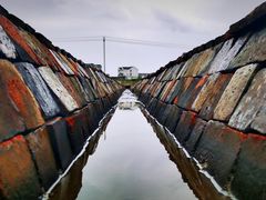 -花岙岛