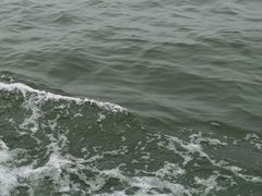 -南湾湖