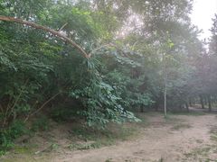 -元大都城垣遗址公园