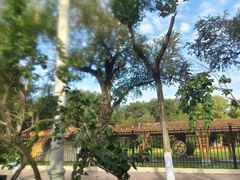 -黑龙江中医药大学