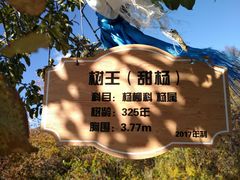 -蒙星月涮肚火锅城(宏运家园店)