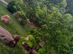 -长春公园(普阳街道)