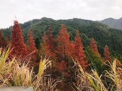 -井冈山风景名胜区