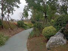 -金银湖国家城市湿地公园