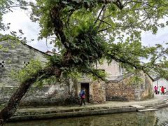 -九屋西岭生态度假景区