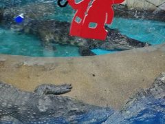 -大明湖海底世界