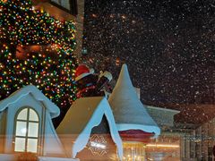 -君悦酒店·La Terrazza意合園·意式风味