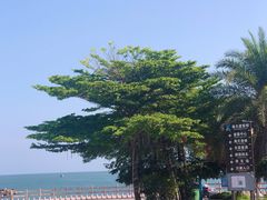 -沙扒湾