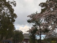 -奈良公园