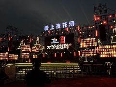 -荷兰花海