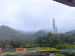 -如意山房柿子树下餐厅