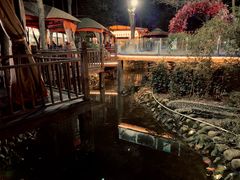 -二荆条·蜀鲜汇城市森林火锅