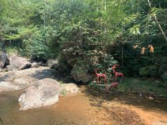 -众神白水涧景区