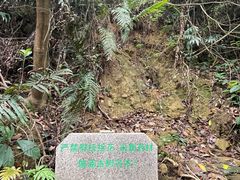 -梧桐山风景名胜区