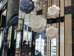 -CHANEL(ifs国际金融店)