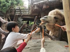 -长鹿旅游休博园