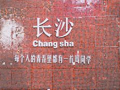 -董顺桃小粒臭豆腐(太平街一店)