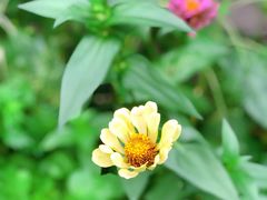 -烧货·活海鲜炭烧(湖滨商业街店)