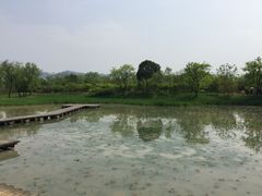 -西溪国家湿地公园