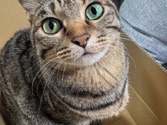 -瑞派申生动物医院·24H夜诊·国际动物医疗中心·骨外科(吴中路店)