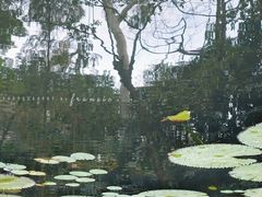 -广州兰圃
