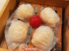 悦满楼虾饺皇-悦满楼·西关名点·湛江名菜(航空综合大厦店)