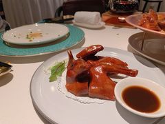 乳鸽-三号黄浦会Canton Table