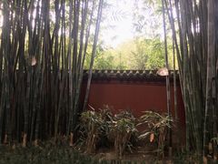 -望江楼公园