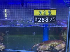 水产区-蟹老板的海鲜