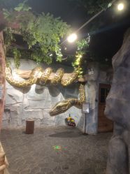 -Zoolung Zoolung动物主题公园(海信广场店)