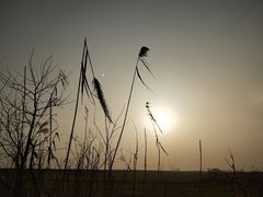 -百美汇影城(LUXE嘉里中心店)