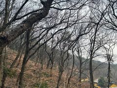 -穹窿山景区