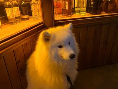 -双层巴士·鲜串鲜啤·团建聚会(凯德广场店)