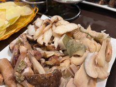 -蘑统田下·野生菌火锅