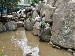 -西安世博园