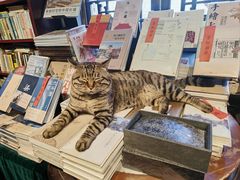 -正阳书局(西四南大街店)
